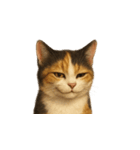 三毛猫（みけねこ / Mike-neko）（個別スタンプ：5）