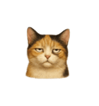 三毛猫（みけねこ / Mike-neko）（個別スタンプ：14）