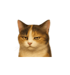 三毛猫（みけねこ / Mike-neko）（個別スタンプ：16）