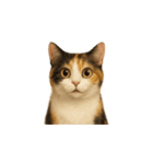 三毛猫（みけねこ / Mike-neko）（個別スタンプ：18）