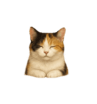 三毛猫（みけねこ / Mike-neko）（個別スタンプ：20）