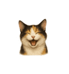 三毛猫（みけねこ / Mike-neko）（個別スタンプ：24）