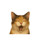 三毛猫（みけねこ / Mike-neko）（個別スタンプ：25）