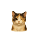三毛猫（みけねこ / Mike-neko）（個別スタンプ：27）