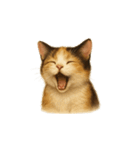 三毛猫（みけねこ / Mike-neko）（個別スタンプ：28）