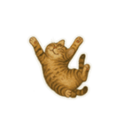トラ猫（とらねこ Tora-neko)（個別スタンプ：1）