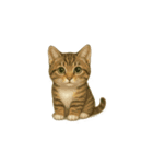 トラ猫（とらねこ Tora-neko)（個別スタンプ：6）