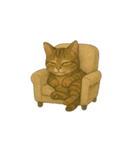 トラ猫（とらねこ Tora-neko)（個別スタンプ：8）