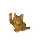 トラ猫（とらねこ Tora-neko)（個別スタンプ：9）