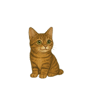 トラ猫（とらねこ Tora-neko)（個別スタンプ：10）