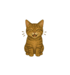 トラ猫（とらねこ Tora-neko)（個別スタンプ：13）