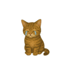 トラ猫（とらねこ Tora-neko)（個別スタンプ：14）