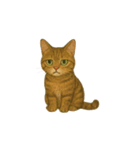トラ猫（とらねこ Tora-neko)（個別スタンプ：16）