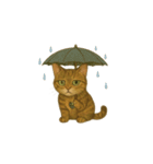 トラ猫（とらねこ Tora-neko)（個別スタンプ：17）
