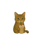 トラ猫（とらねこ Tora-neko)（個別スタンプ：19）