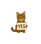 トラ猫（とらねこ Tora-neko)（個別スタンプ：21）