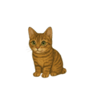 トラ猫（とらねこ Tora-neko)（個別スタンプ：23）