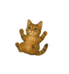 トラ猫（とらねこ Tora-neko)（個別スタンプ：24）