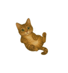 トラ猫（とらねこ Tora-neko)（個別スタンプ：25）
