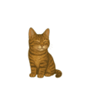 トラ猫（とらねこ Tora-neko)（個別スタンプ：26）