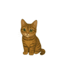 トラ猫（とらねこ Tora-neko)（個別スタンプ：27）