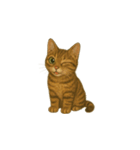 トラ猫（とらねこ Tora-neko)（個別スタンプ：28）