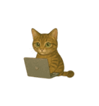 トラ猫（とらねこ Tora-neko)（個別スタンプ：37）