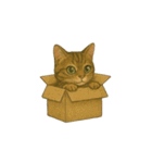トラ猫（とらねこ Tora-neko)（個別スタンプ：40）