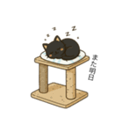 ネコにゃんのスタンプ（個別スタンプ：7）
