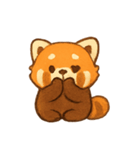 あかいレッサーパンダPandiのまいにち（個別スタンプ：1）