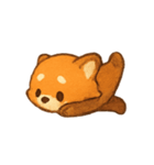 あかいレッサーパンダPandiのまいにち（個別スタンプ：8）