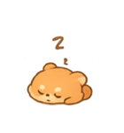 モモ レッサーパンダ日常（個別スタンプ：11）