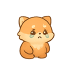 モモ レッサーパンダ日常（個別スタンプ：13）