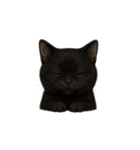 黒猫（くろねこ / Kuro-neko）（個別スタンプ：5）