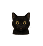 黒猫（くろねこ / Kuro-neko）（個別スタンプ：7）
