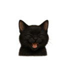 黒猫（くろねこ / Kuro-neko）（個別スタンプ：9）