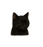 黒猫（くろねこ / Kuro-neko）（個別スタンプ：11）
