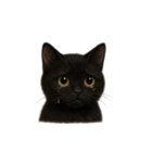 黒猫（くろねこ / Kuro-neko）（個別スタンプ：12）