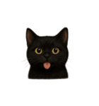 黒猫（くろねこ / Kuro-neko）（個別スタンプ：14）