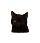黒猫（くろねこ / Kuro-neko）（個別スタンプ：16）