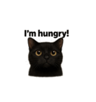黒猫（くろねこ / Kuro-neko）（個別スタンプ：18）