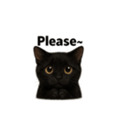 黒猫（くろねこ / Kuro-neko）（個別スタンプ：19）
