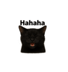 黒猫（くろねこ / Kuro-neko）（個別スタンプ：20）