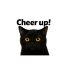黒猫（くろねこ / Kuro-neko）（個別スタンプ：22）