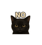 黒猫（くろねこ / Kuro-neko）（個別スタンプ：24）