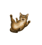 トラ猫（とらねこ / Tora-neko）（個別スタンプ：2）