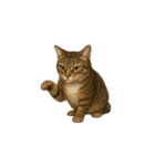 トラ猫（とらねこ / Tora-neko）（個別スタンプ：4）