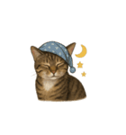 トラ猫（とらねこ / Tora-neko）（個別スタンプ：18）