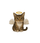 トラ猫（とらねこ / Tora-neko）（個別スタンプ：19）