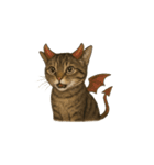 トラ猫（とらねこ / Tora-neko）（個別スタンプ：20）